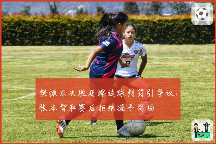樊振东决胜局擦边球判罚引争议,张本智和赛后拒绝握手离场